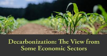 Decarbonization: The View from Some Economic Sectors