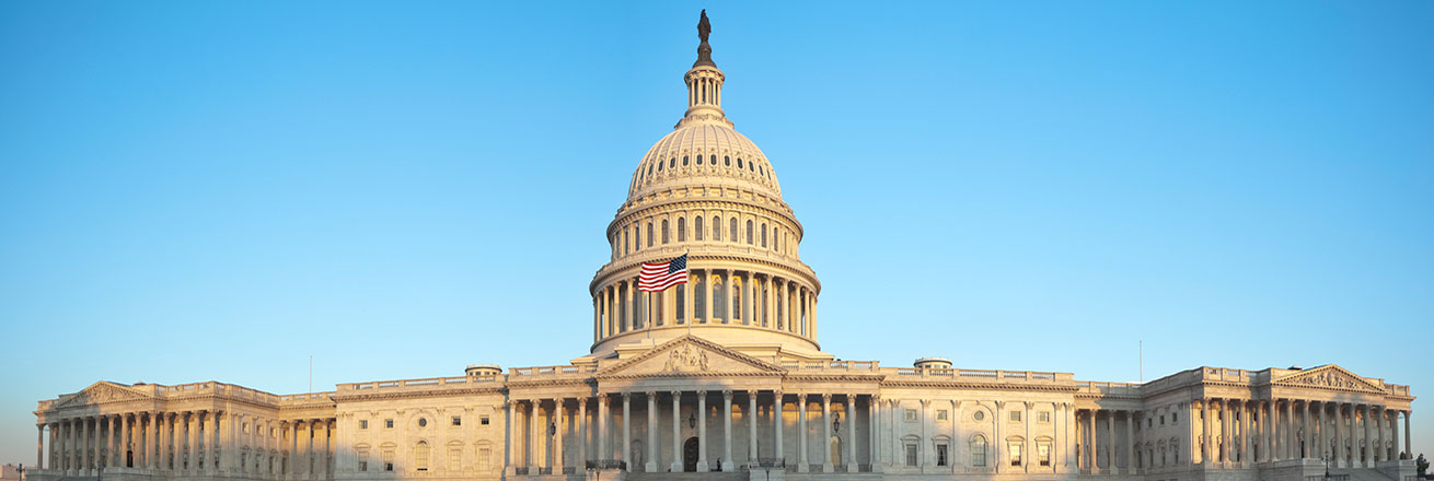 US Capitol