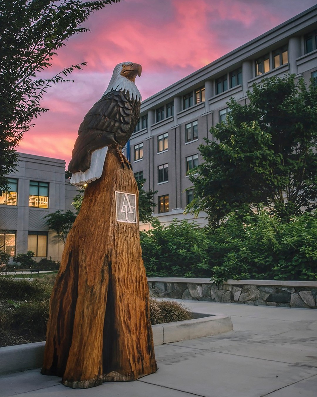 AU Eagle Statue in front of University buildings with the setting sun.