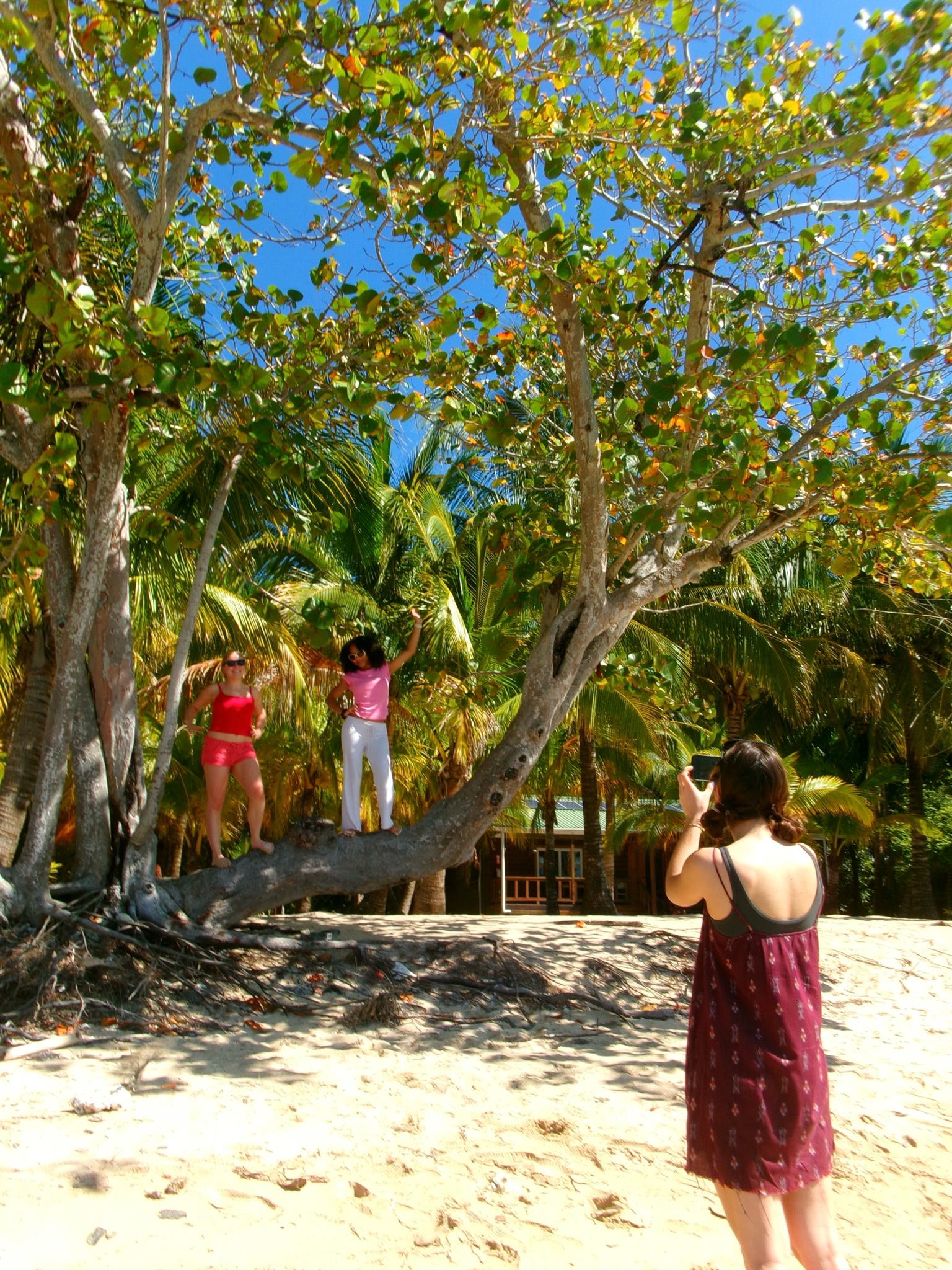 Two students on beach standing on tree branch while student takes picture.