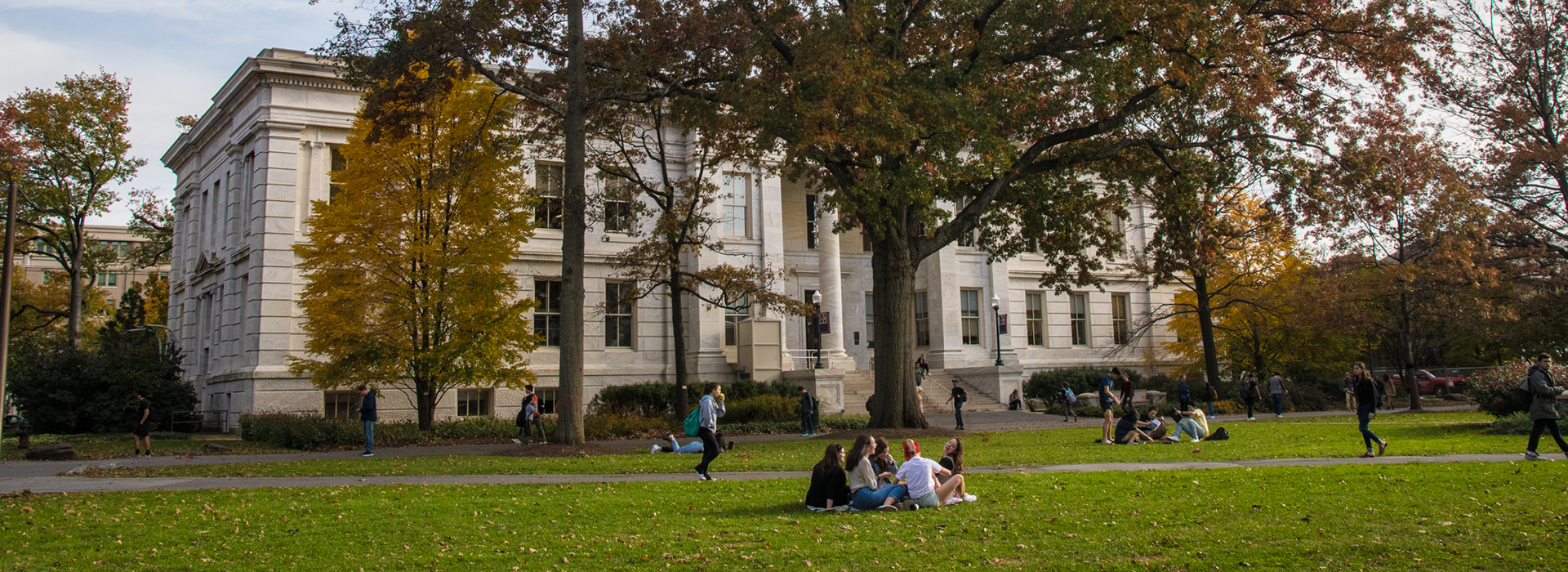 Fall trees on campus