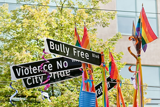 What is the Impact of Bullying on Lesbian, Gay, and Bisexual Students?