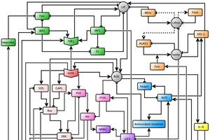 Graph of pathways.