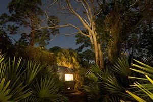 An airstream surrounded by trees