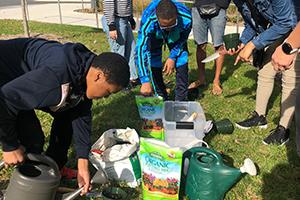 Students planting seeds on campus.