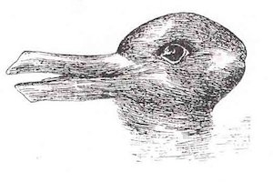 Duck Rabbit optical illusion. Some people see a duck; others see a rabbit.