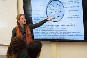 A professor points to the screen that features a close up of a cell