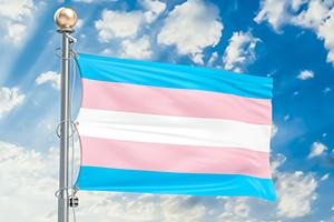 Pink, blue and white striped flag