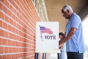 Voter at polls