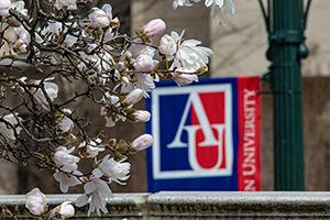 blossoms on campus