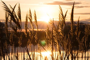 The sun rises on the Chesapeake Bay