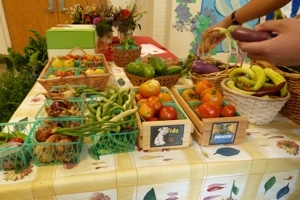 School Garden