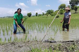 Dilanthi Ranaweera in the field