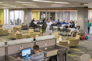 students studying in library