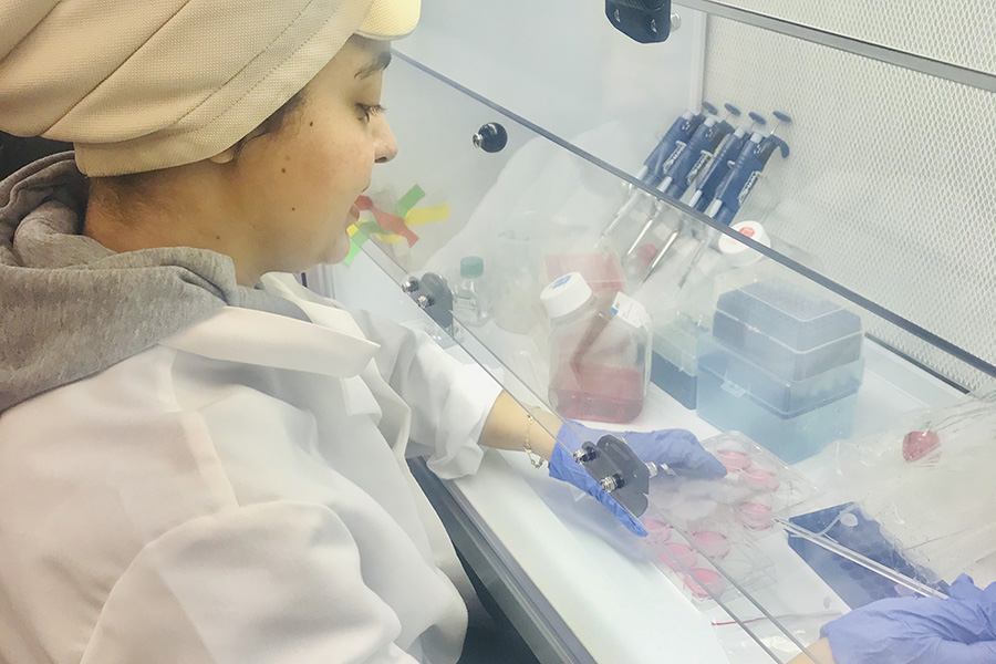 Rana Said works at a fume hood in Hurst Hall.