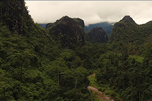 Drone shot of the lush and green Laos topography