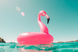 Flamingo pool float