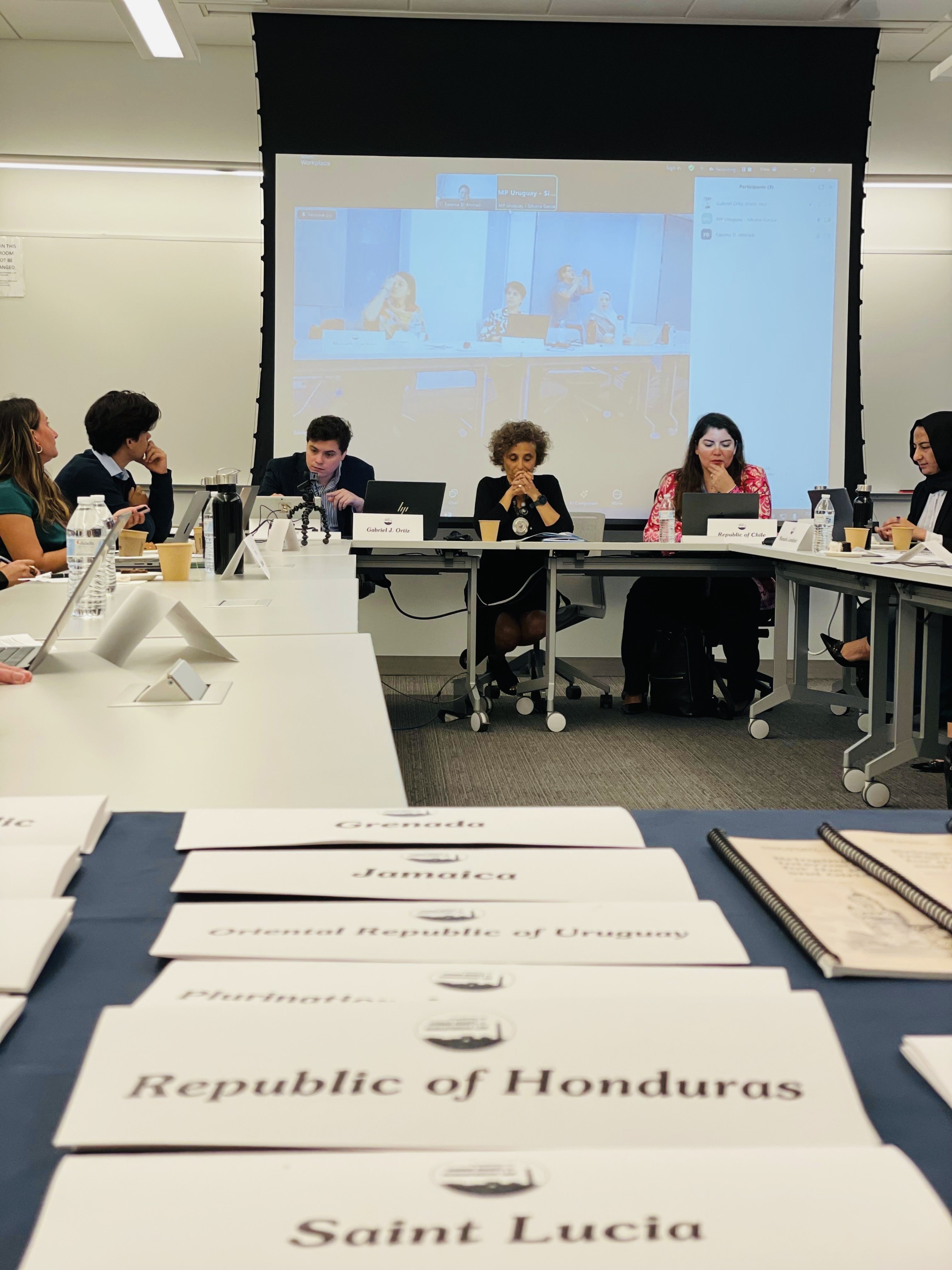 Private Working Session between OAS members, Activists, and Rawadari