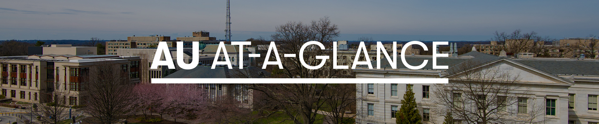 2021 AU At-A-Glance | American University, Washington, DC